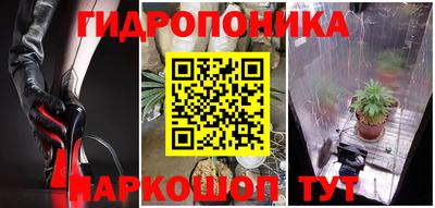 соль ск Лесосибирск
