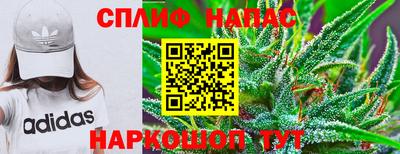 Альфа ПВП Кунгур