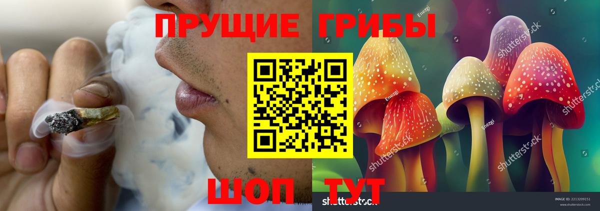 Галлюциногенные грибы Magic Shrooms  Вход с VPN  Калининград 
